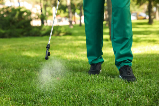 Best Residential Pest Control  in Willis, TX