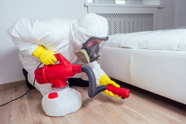 Reliable Willis, TX Pest Control Solutions