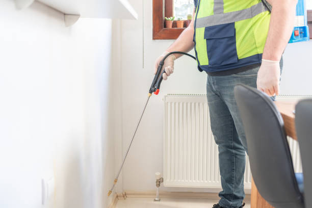 Trusted Willis, TX Pest Control Experts