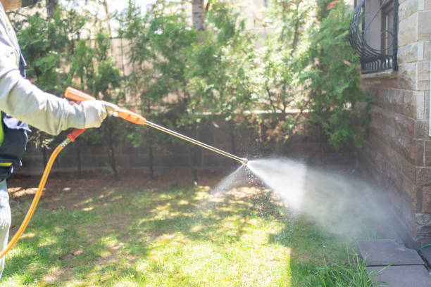 Best Local Pest Control Services  in Willis, TX