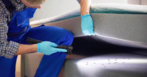 Best Pest Inspection Near Me  in Willis, TX
