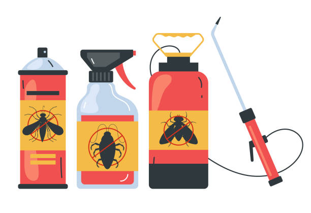 Wasp Removal Services in Willis, TX