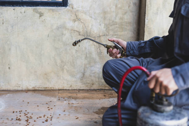 Best Pest Control Near Me  in Willis, TX